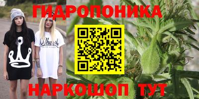 PSILOCYBIN Кунгур